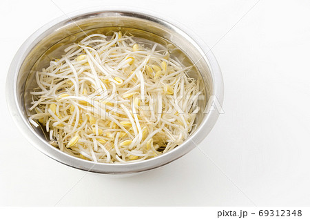 水に漬けた大豆もやし 69312348
