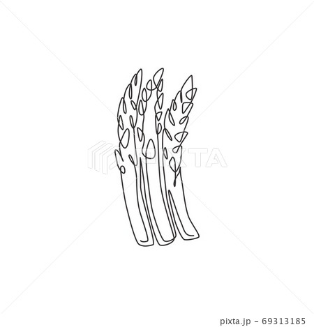 Single continuous line drawing of whole healthy organic asparagus for plantation logo identity 69313185
