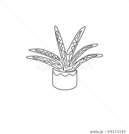 Single continuous line drawing of potted snake plant for home decor logo identity. 69313193