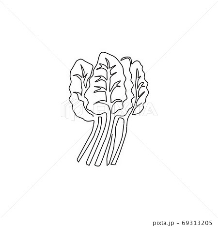 One Single Line Drawing Group Pile Of Healthy のイラスト素材 69313205 Pixta