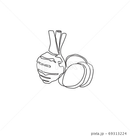 Single continuous line drawing of whole healthy organic taro for farm logo identity 69313224