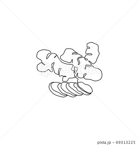 One continuous line drawing healthy organic ginger for farm logo identity One continuous line drawing healthy organic ginger for farm logo identity 69313225