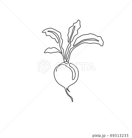 One Single Line Drawing Of Whole Healthy のイラスト素材 69313235 Pixta