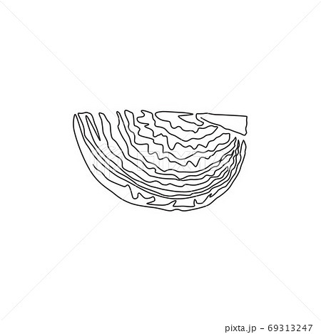 One single line drawing cut sliced healthy organic headed cabbage for farm logo identity 69313247