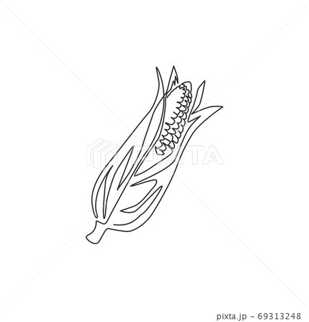 One single line drawing of whole healthy organic corn crop for farm logo identity 69313248