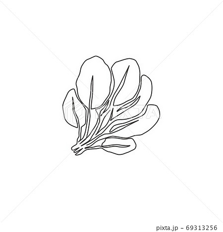 One Single Line Drawing Whole Healthy Organic のイラスト素材 69313256 Pixta