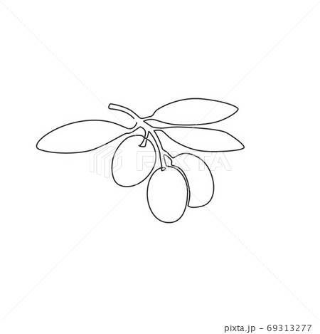 One single line drawing of heap healthy organic olive fruit for garden logo identity 69313277