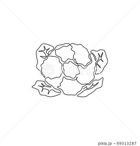 Single continuous line drawing of whole healthy organic cauliflower for farm logo identity 69313287