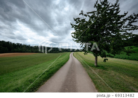 An empty country road through the green fields 69313482