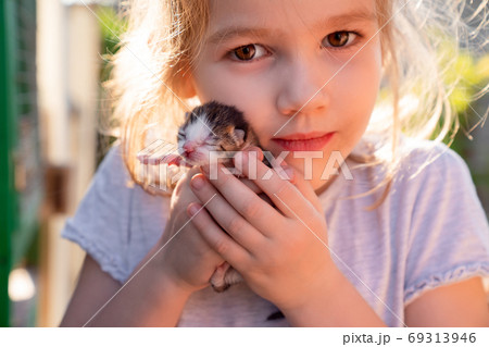newborn kitten in hands of a little girl.  69313946