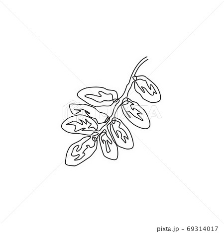 Single continuous line drawing stack healthy organic fruit dates for orchard logo identity Single continuous line drawing stack healthy organic fruit dates for orchard logo identity 69314017