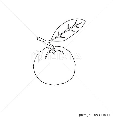 One continuous line drawing whole healthy organic java guava for orchard logo identity 69314041