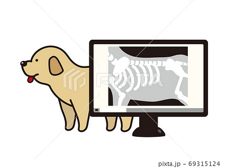 犬とデジタルレントゲン写真 69315124