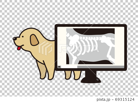 犬とデジタルレントゲン写真のイラスト素材