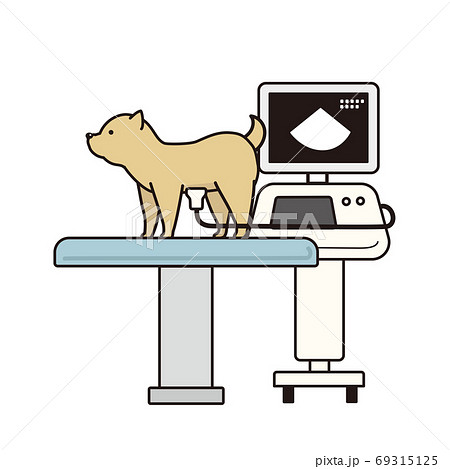 柴犬とエコー検査機のイラスト素材