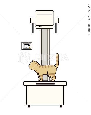 レントゲンを撮る茶トラ猫のイラスト素材