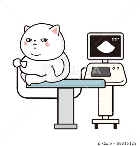 動物病院でエコー検査を受ける太った白猫のイラスト素材