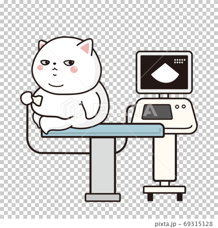 動物病院でエコー検査を受ける太った白猫 動物病院でエコー検査を受ける太った白猫 69315128