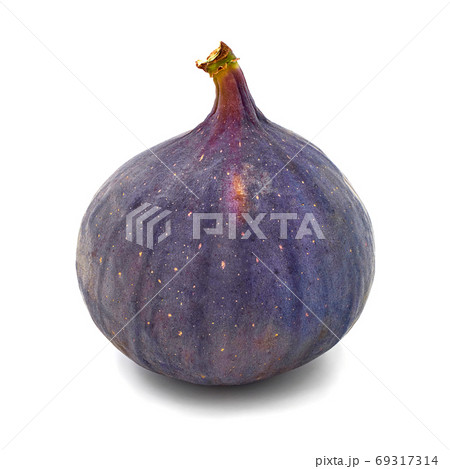 Fresh figs isolated on white background with shadow 69317314