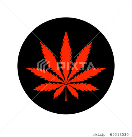 Red cannabis sticker isolated on white background Red cannabis sticker isolated on white background 69318030