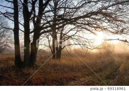 Fall landscape. Late misty morning. 69318961