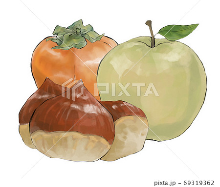 秋の味覚 柿・梨・栗 秋の味覚 柿・梨・栗 69319362