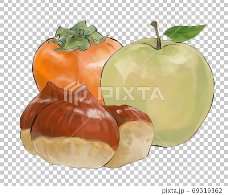 秋天的味道柿子/梨/栗子 秋天的味道柿子/梨/栗子 69319362