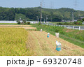 稲刈り作業中の風景 69320748