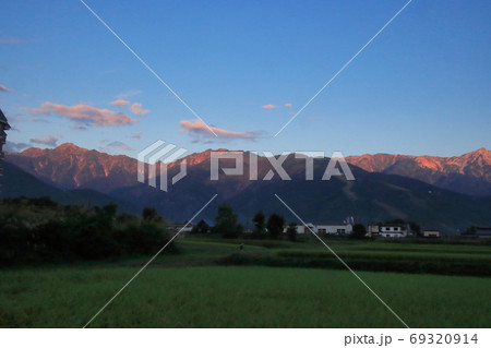 美しいモルゲンロート(朝焼け)の唐松岳と五竜岳 長野県白馬村 美しいモルゲンロート(朝焼け)の唐松岳と五竜岳 長野県白馬村 69320914