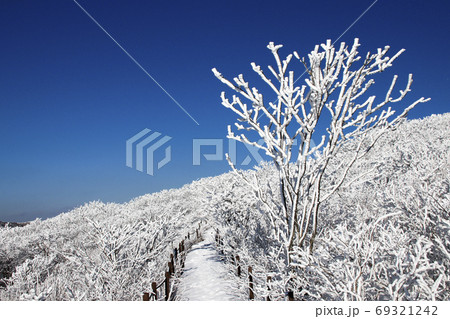 冬 小白山 風景 69321242