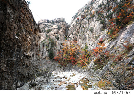 雪岳山 秋 紅葉 69321268