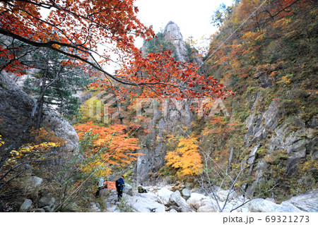 雪岳山 秋 紅葉 69321273