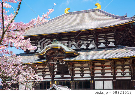 東大寺 大仏殿 金堂 桜 春 （奈良県奈良市） 2020年4月の写真