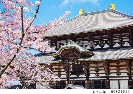 東大寺 大仏殿 金堂 桜 春 奈良県奈良市 年4月の写真素材