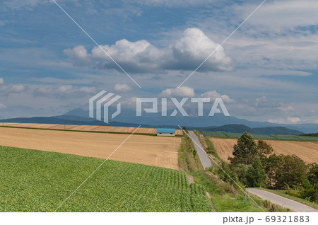 夏惜しむ美瑛の素敵な空と風景 69321883