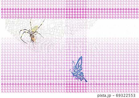 蜘蛛の罠に 蝶が舞う のイラスト素材