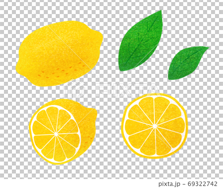 レモンイラストセット素材 / アナログ風 レモンイラストセット素材 / アナログ風 69322742