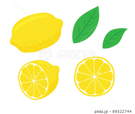 レモンイラストセット素材　／　ベクター 69322744