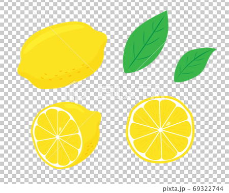 レモンイラストセット素材　／　ベクター 69322744
