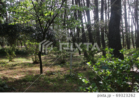 沼津市御用邸記念公園 沼津市御用邸記念公園 69323262