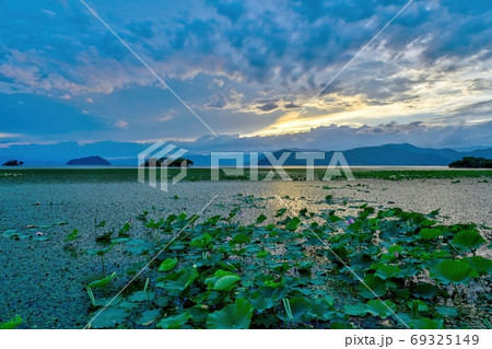 湖岸から見た琵琶湖の夏の夕焼け情景＠滋賀 69325149