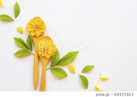 yellow flowers cosmos on wooden spoon with leaf arrangement flat lay postcard style yellow flowers cosmos on wooden spoon with leaf arrangement flat lay postcard style 69325923
