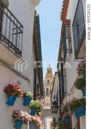 スペイン コルドバの花の小径の写真素材