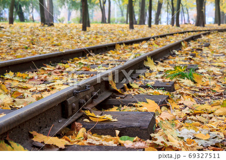 Rails in the city park with fallen yellow autumn leaves 69327511