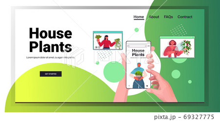 set women taking care of houseplants mix race housewives discussing during video call in web browser windows set women taking care of houseplants mix race housewives discussing during video call in web browser windows 69327775