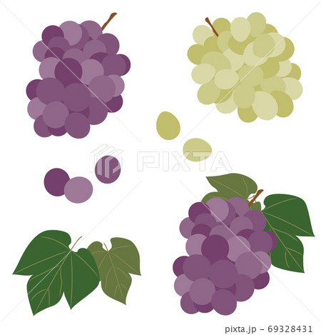 ブドウの実と葉のセットのイラスト素材