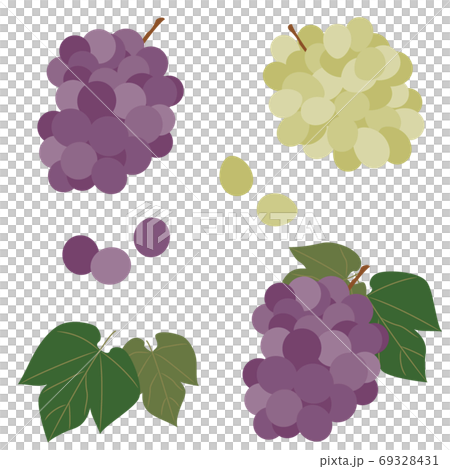 ブドウの実と葉のセットのイラスト素材