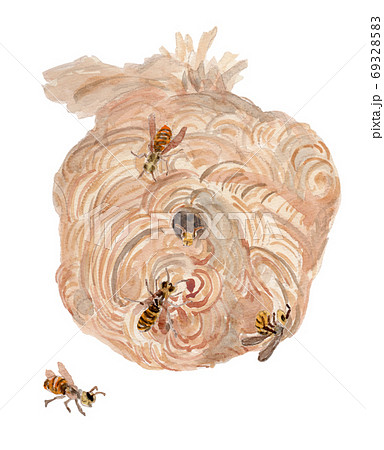 大きなスズメバチの巣の水彩イラストのイラスト素材