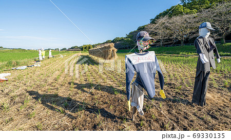 稲刈り後の田んぼの風景 稲刈り後の田んぼの風景 69330135