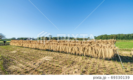 稲刈り後の田んぼの風景 69330139